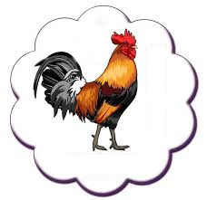 Rooster 2018